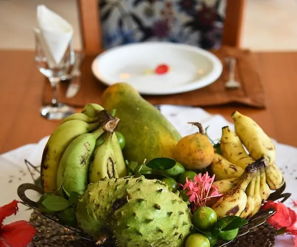 Nocleg ze śniadaniem Jessies Seychelles 3*