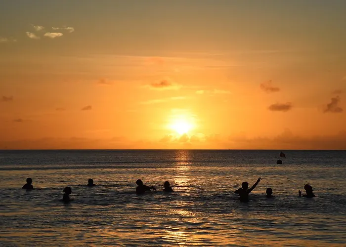 Jessies Seychelles