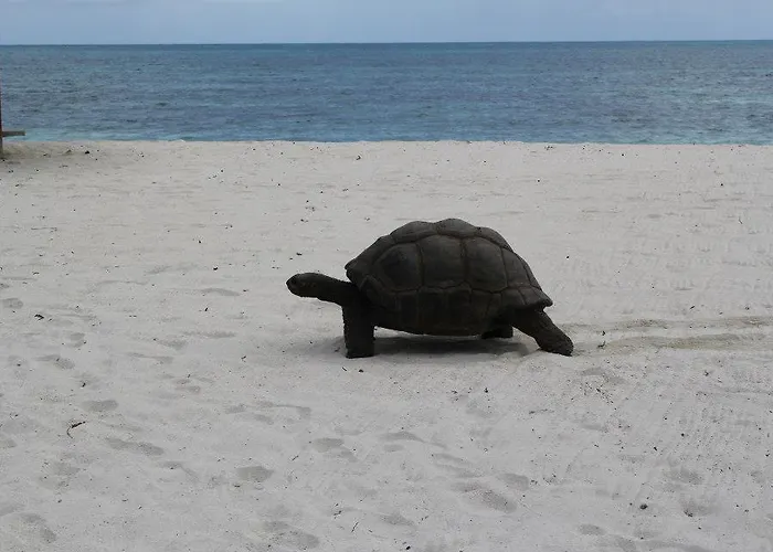 Jessies Seychelles Nocleg ze śniadaniem